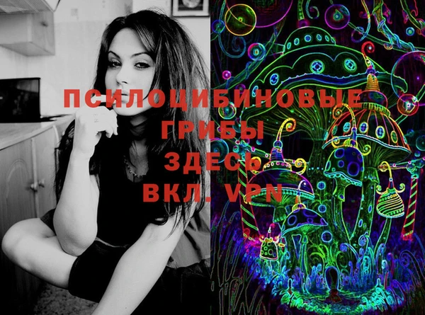 бошки Баксан