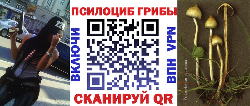 Псилоцибиновые грибы ЛСД Сосновка